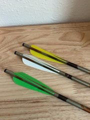 Easton Excalibur Aluminum Crossbow Hunter Arrows XX75 2219 ( 20 in) 10 Pack Lot