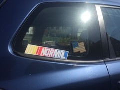 NASCAR NORMAL Bumper Funny gift Parody Skate Punk Truck Art Logo Sticker Decal
