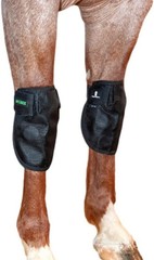 Classic Equine MagNTX Knee Wrap