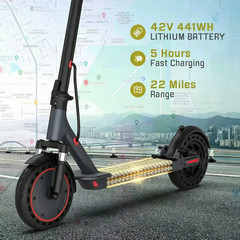 Ladped LP10 Electric Scooter for Adults 1000W, 22MPH, 22 Miles Range, Suspension