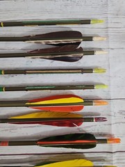 Easton Aluminum Arrows 5 XX75 + Bradheads Camo Hunter 7 Gamegetter 1918 29.5″