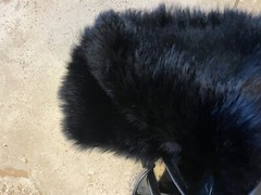 VGUC Gucci Gray Suede Over knee With Fur riding boots SZ 38 $1270 Adorable!!!