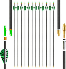 Carbon Arrows 31In for Hunting & Target Practice 350 Spine, 12 Pack with Removab