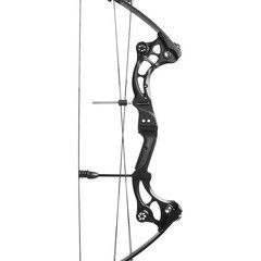 Compound Bow Arrow Kit 40-55lbs Archery Fiberglass Limbs Hunting Shooting Target