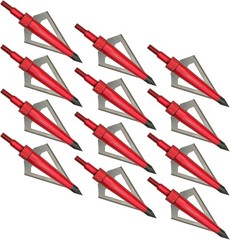 12pcs Archery Broadheads 3 Fixed Blade 100Grain Hunting Arrowheads with One Case