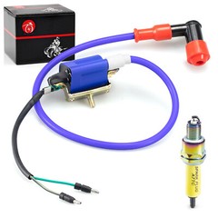 Ignition Coil and 10mm Spark Plug Compatible with 70cc 90cc 110cc ATV dirt bike
