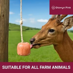 Himalayan Mineral Salt Block on Rope Pack of 4 (3Lbs Each) – 100% Organic Pink S