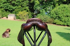 16.5” Toulouse Marielle Mono Flap Eventing Saddle