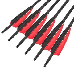 12/24X Arrows Quiver Archery Shooting Hunting Compound Recurve Bow Tip Target
