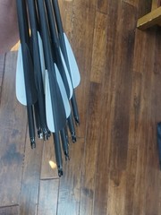 12 31″ Aluminum Arrows With Practice Tips And Fletchings And Nocks
