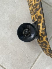 Globe Bantam Graphic ST Leopard Penny Board Skateboard Cruiser – 23 in x 6 in