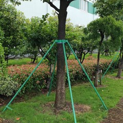 Tree Landscape Supportive Tree Holder Rack for Fixing