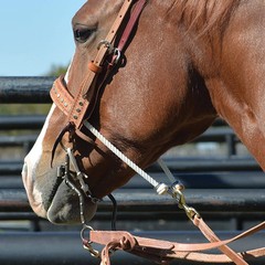 Classic Equine Joe Beaver Low Port Horse Bit – 7.5 Inch Shank for Precision and