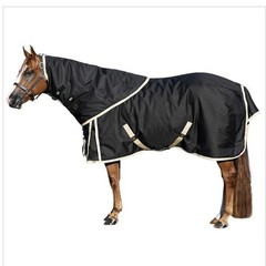 Schneiders ArmorFlex Challenger V-Free Wither Relief Sheet With Hood Size 80