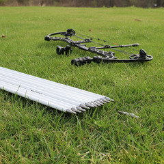 12Pcs 30″ Archery Carbon Arrows White Shaft Spine 500 for Recurve Compound Bow