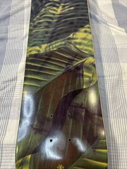 Element Skateboard Deck Gabriel Fortunato Jungle Rare Made In Spain 8” x 31.75”