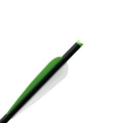 20 inch Archery Hunting Carbon Crossbow Bolts Half Moon Nock OD 8.8mm Arrows