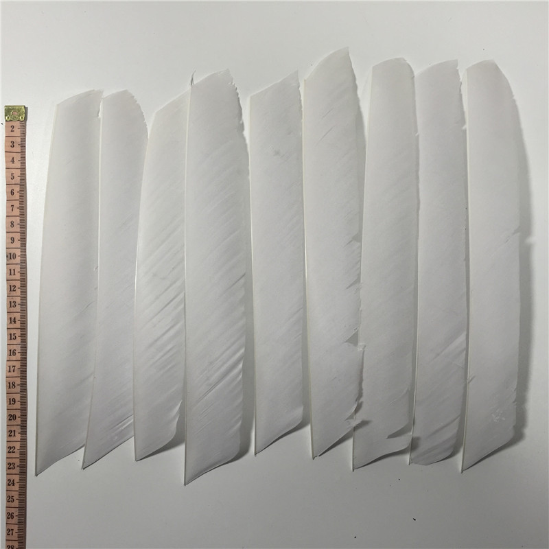 50pcs Multicolor Full length 7-9in Fletches RW Turkey Feather for Archery Arrows