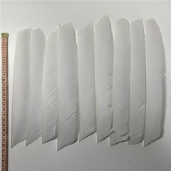 50pcs Multicolor Full length 7-9in Fletches RW Turkey Feather for Archery Arrows