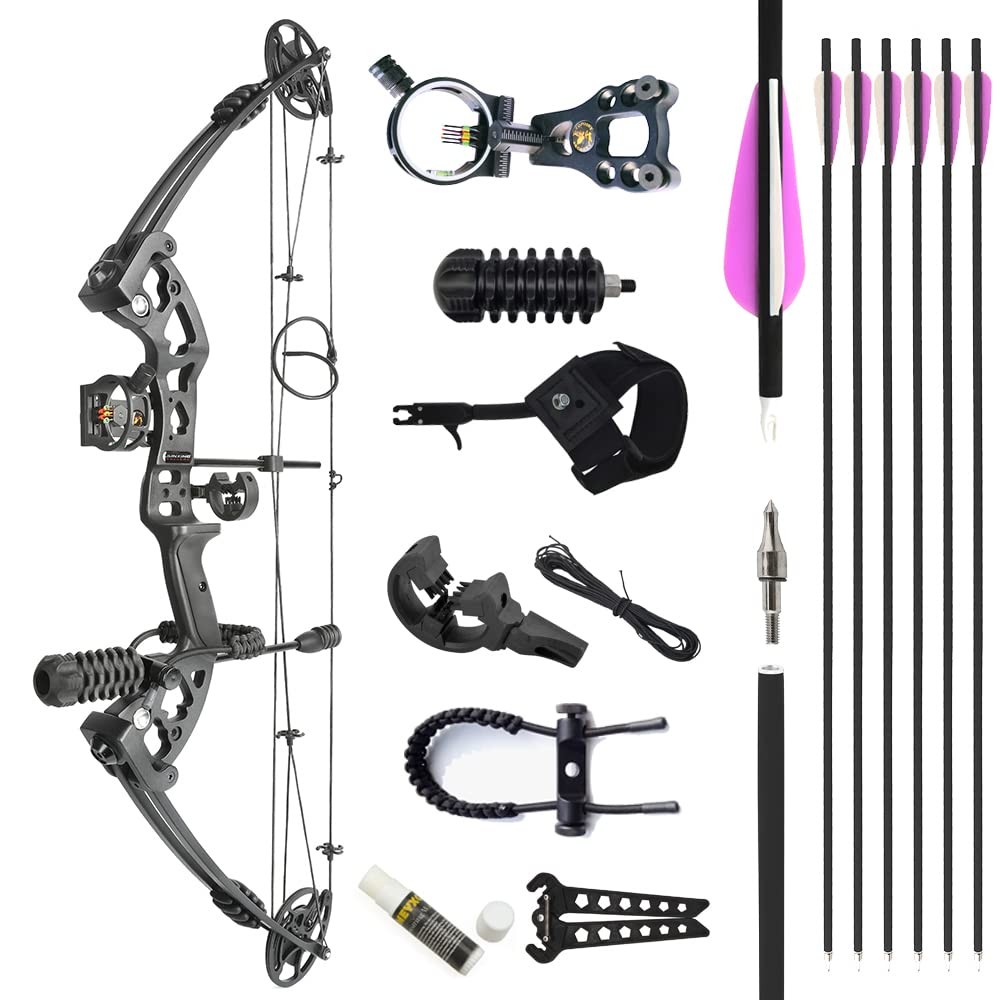 AMEYXGS Archery Compound Bows Kit Draw Weight 30-55 lbs Hunting Bow IBO 310fps A