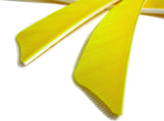 Archery Arrow Fletching Feather 4 Inch Turkey Vanes for Hunting Target Shooting