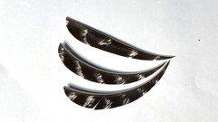 4″ New, FREE SHIPPING!! Real Turkey Feather Fletching for Arrows& Darts 50 Pack