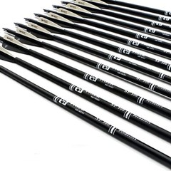 30″ Carbon Arrow Practice Hunting Arrows W/Tips For Compound,Recurve Bow Pack 12
