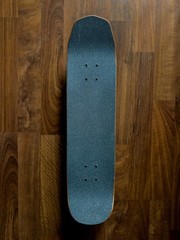 Welcome Skateboards Teddy Nora Vasconcellos Teal Factory Assembled