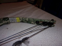 Proline Riptide Compound Bow
