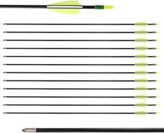 31 Inch Target 24/36/72PACK Practice Arrows Archery Recurve Bow Fiberglass Arrow