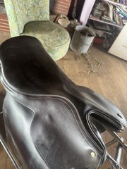 Blue Ribbon Cutback Saddle