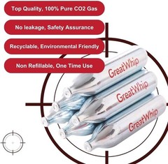 12G CO2 CARTRIDGE AIRSOFT BB GUN PAINTBALL NON-THREADED 25 PACK