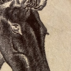 Rasilan Horse Blanket. Thick And Soft Made In Spain