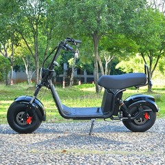 18 inch fat tire scooter Harley electric motorcycle max load 440 IBS 3000W motor