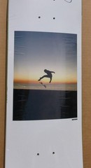 2025 THANK YOU DAEWON SONG «SIGNED NEW YEARS DAE» SKATEBOARD DECK RARE AUTOGRAPH