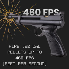 Crosman 2240 CO2 Air Pistol Kit .22 Cal Pellet Gun w/ Pellets CO2 Targets Glasse