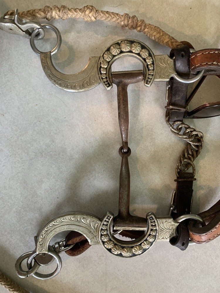 Gist Classic Equine Snaffle Bit w/ Leather Headstall & Reins