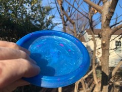 2018 Virginia States Blueberry Zing Swirl Rare Disc Golf (w/Frisbee Pin) #982