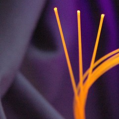 FIBER OPTICS .010 GREEN 1 FOOT 1ST CLASS POSTAGE