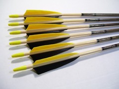 6 MATCHED CEDAR ARROWS 31″