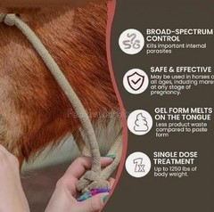 10 Pack Apple Flavor Horse Dewormer Paste Boxed Wormer Exp 01/2028
