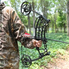 30-60lbs Compound Bow Kit Steel Ball Arrows Dual-use Archery Hunting Fish RH LH