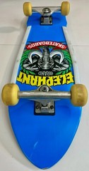 Elephant Brand Street Axe Blue Skateboard + Independent truck EXCELLENT complete