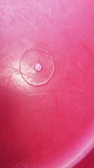 Innova Old School Grid Aviar Golf Disc 168g Penned