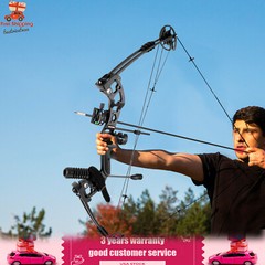 Compound Bow Kit with 12 Arrows Right Hand Archery Hunting Set Black 30-55lbs