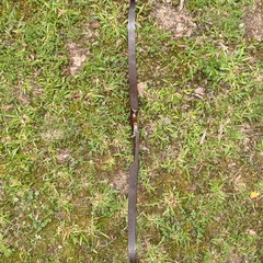 Used Vintage Browning Safari II Wood Recurve Archery Bow 46# @ 60″ AMO