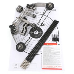 10» Mini Compound Bow Set 12lbs Shoot Range 40-50m Toy Game Gift Practice
