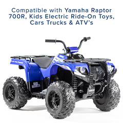 12 Volt Battery Charger with B-Type Connector for Kids Electric Ride-On Toy