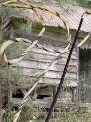 B55 Flemish Twist Bowstrings – 16 Strand – «SYCAMORE» – Recurve – Choose Length