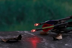 DEEPOWER S Lighted Nocks for Arrows .244/6.2mm 6/12 Pack 6 PCS / Red